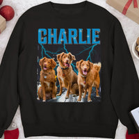 Sweatshirt (Favorite)